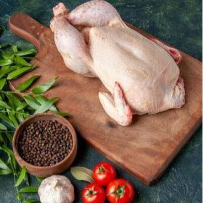 Baby Chicken (Price Per Pc)
